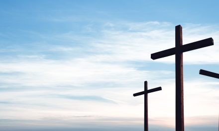 Η πραοτητα…